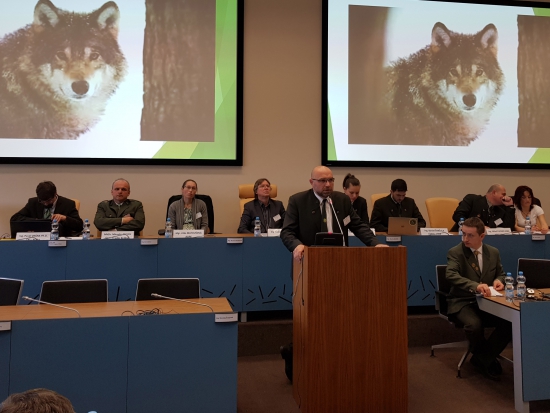 Vlk jako příčina vylidnění venkova a konce pastevectví: zaznělo na konferenci v Hradci Králové