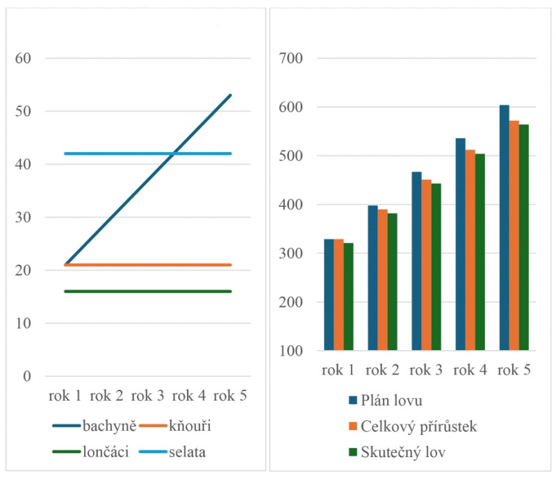 Graf 1: Modelování vývoje populace prasete divokého během pěti let (stav k 31. 3 – skončení lovecké sezony). Graf 2: Vývoj úlovků a přírůstu černé zvěře v modelovém případě.
