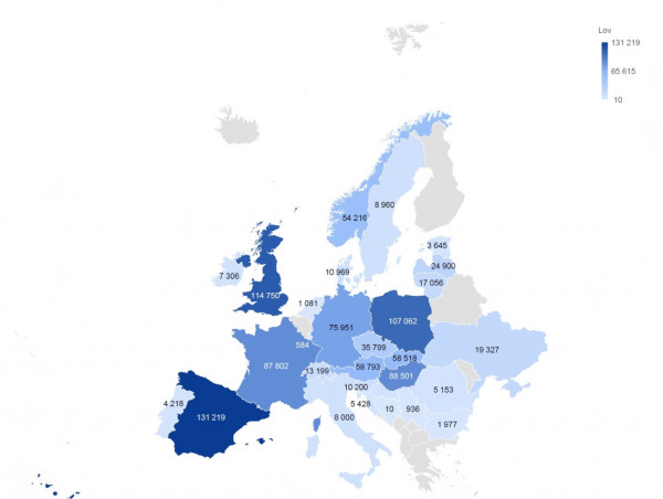 Úlovek jelena evropského