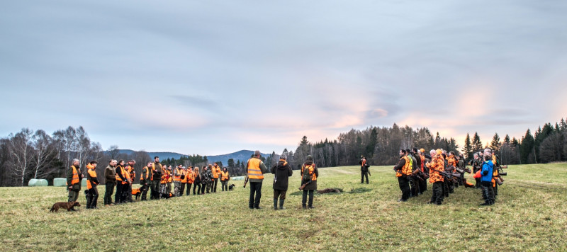 Správně upravený výřad. Foto Jaroslav Vogeltanz