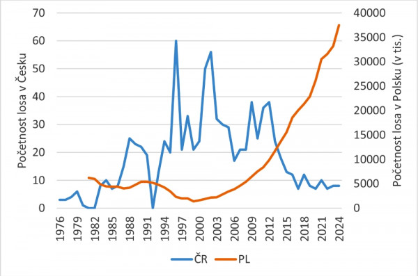 Graf: Vývoj populace losa v Česku podle myslivecké statistiky a vývoj početnosti losa v Polsku za posledních přibližně 50 let (upraveno podle nli.gov.cz a www.stat.gov.pl). Zatímco v Polsku ochrana losa zajišťuje jeho prosperitu, v Česku ochrana tohoto druhu k záchraně jeho populace nestačí, protože se zde stále zhoršují jeho životní podmínky.