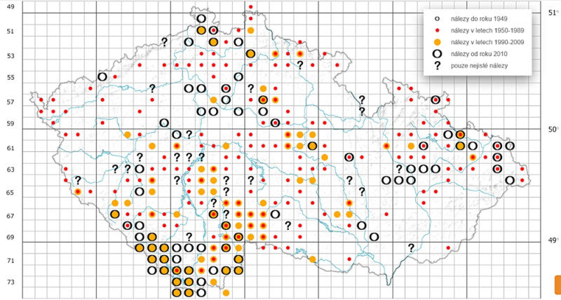 Mapa 2: Nálezová databáze AOPK (ENDOP) ukazuje výskyt losa v Česku v novodobé historii a naznačuje směry, kudy migrující jedinci přicházejí do jižních Čech. Je to široký pás krajiny táhnoucí se od Moravské brány přes Českomoravskou vrchovinu a také pás území od Lužických hor přímo na jih. První cesta navazuje na oblasti s početným výskytem losa v Polsku, druhá na německo- polské pomezí, které je známé tím, že poskytuje vhodné podmínky pro výskyt velkých savců a pro jejich migraci vyváří velmi příznivé prostředí.