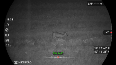 Režim nočního vidění – srna na asi 40 m.