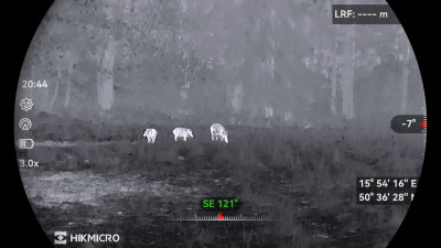 Termovizní režim v barvě Bílá horká (White Hot) – bachyně se selaty v drobném dešti.