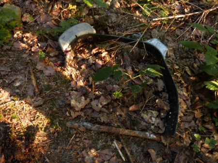 Dohledaný telemetrický obojek v terénu zdroj Hnutí DUHA Olomouc