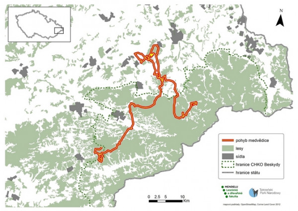 Mapa pohybu medvedice