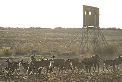 Foto Jaroslav Vogeltanz