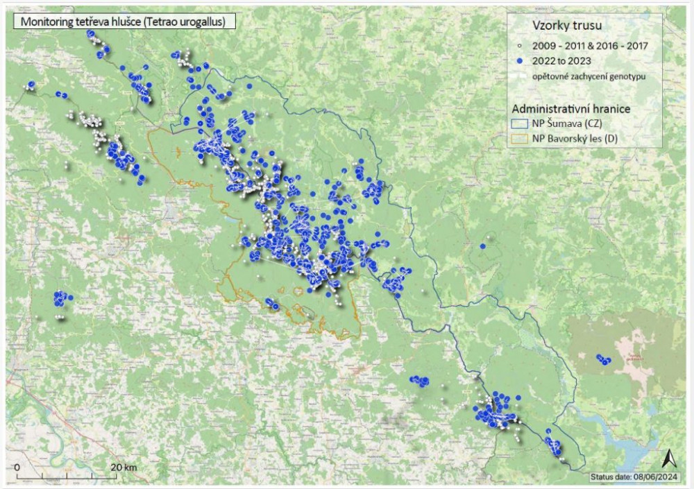 Mapa monitoringu tetřeva hlušce na území NP Šumava a NP Bavorský les. Zdroj: Správa NP Šumava