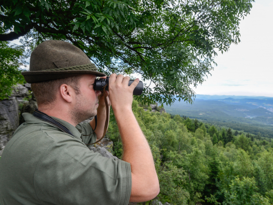 Volby do Poslanecké sněmovny 2025 – Kdo bude hlavní jelen na říjišti? (I.)