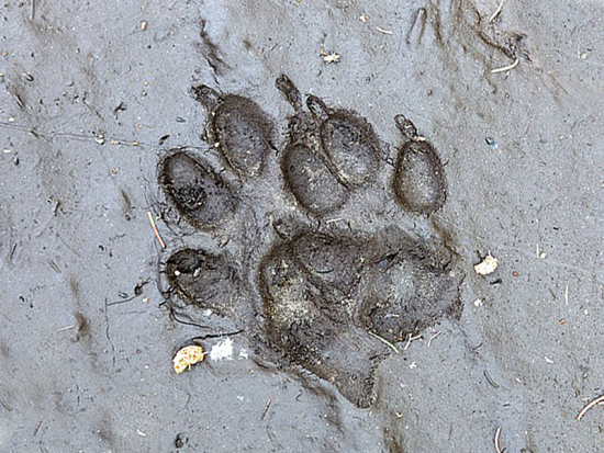 Foto Jaroslav Vogeltanz