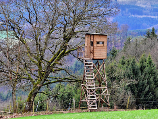 Vyjádření VÚLHM ke stanovení minimální výměry honiteb