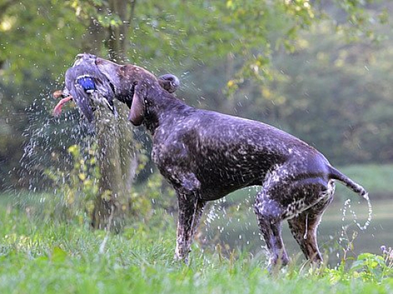Ilustrační fotografie Jaroslav Vogeltanz