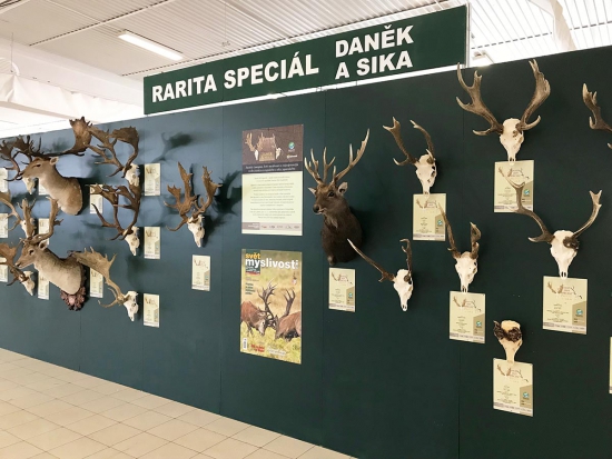 Začíná Natura viva 2019