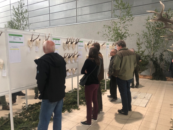 Fotografie archiv redakce