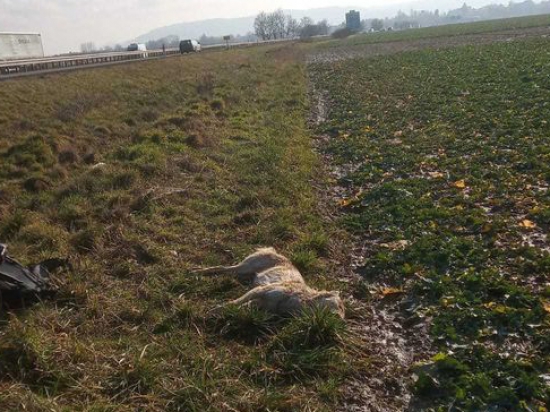 Zdroj fotografie ochranaprirody.cz