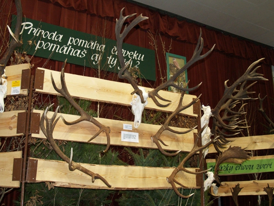 Ilustrační fotografie archiv redakce