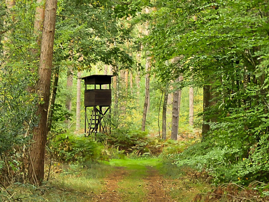Nový ministr zemědělství Výborný chce na novele zákona o myslivosti najít shodu se všemi aktéry