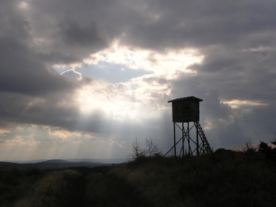 MZe: Myslivecká novela by měla jít na vládu do konce roku