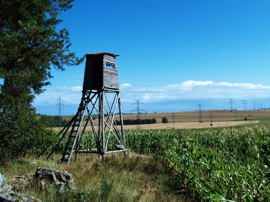 Vláda posoudí novelu, která ruší pravidelné státní posudky lovu