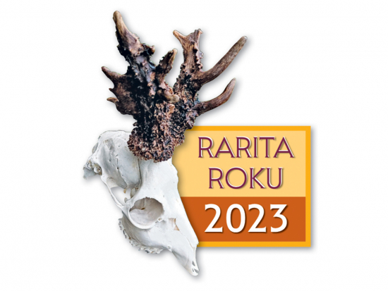 Rarita roku 2023: 17. ročník soutěže o nejzajímavější srnčí trofej