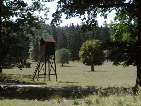 Pronájem volných honiteb a obor u Lesů ČR v roce 2020