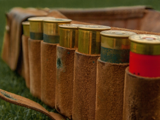 Ilustrační fotografie Pixabay