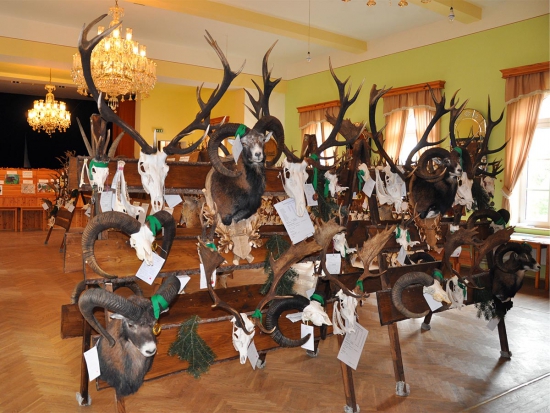 Ilustrační fotografie Pixabay