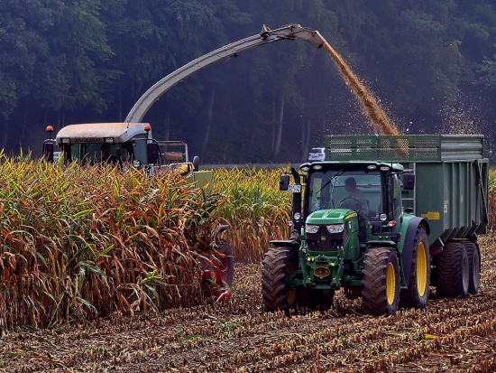 Vlk těžce poraněn při sklizni kukuřice
