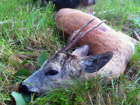 Fotografie archiv redakce