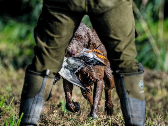 85. ročník Memoriálu Karla Podhajského