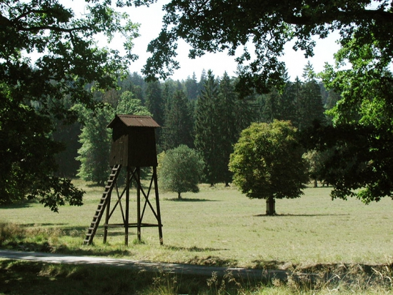 Ilustrační fotografie archiv redakce
