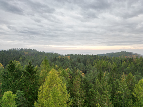 MŽP: Memorandum zajistí ochranu Křivoklátska i bez vyhlášení národního parku