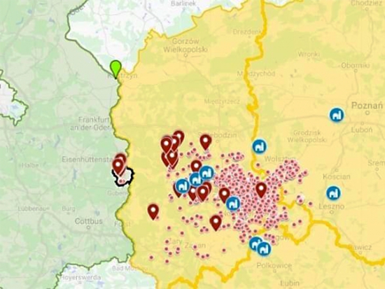 Německo: AMP zjištěn u divočáka v další oblasti