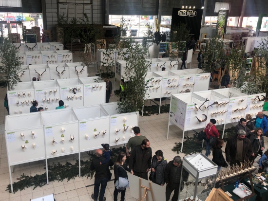 SILVA REGINA a TECHAGRO se kvůli koronaviru přesouvají do roku 2021