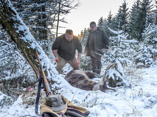 E. M. A. – nový elektronický nástroj pro komunikaci v honitbách Lesů ČR