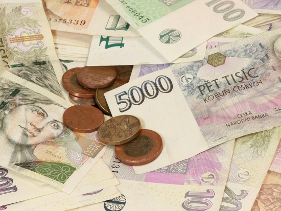 ČMMJ požaduje úlevu na DPH z pronájmů honiteb