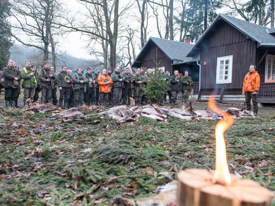 Ilustrační fotografie Jaroslav Vogeltanz