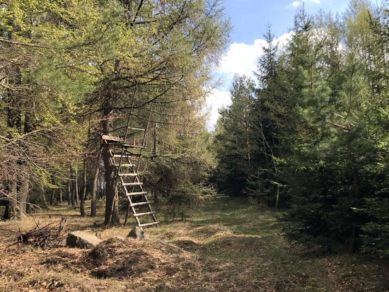 Fotografie archiv redakce