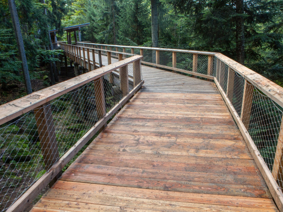 Testy DNA potvrdily, že na svobodě byli ještě dva vlci uprchlí z výběhu v Srní