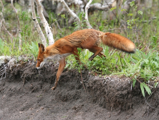 Ilustrační fotografie Pixabay