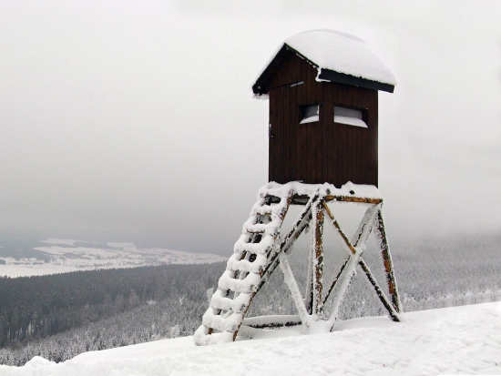 Ilustrační fotografie Marek Mejstřík