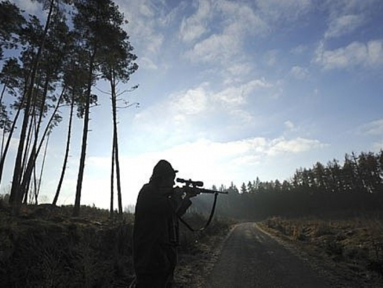 Volby do Poslanecké sněmovny 2025 – Kdo bude hlavní jelen na říjišti? (II.)