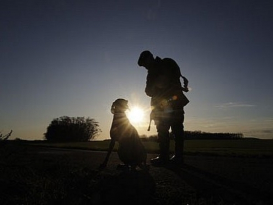 Volby do Poslanecké sněmovny 2025 – Kdo bude hlavní jelen na říjišti? (III.)