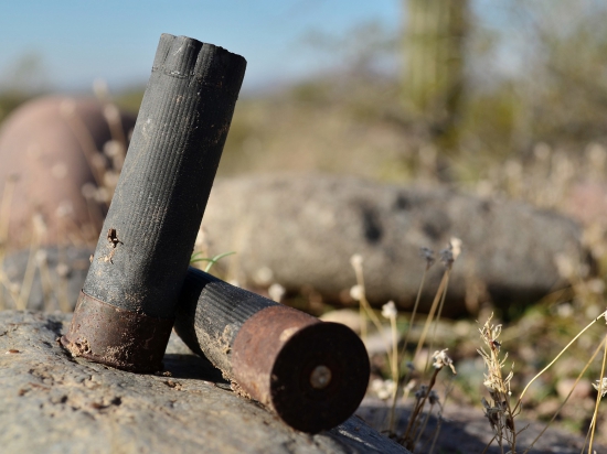 Ilustrační fotografie Pixabay