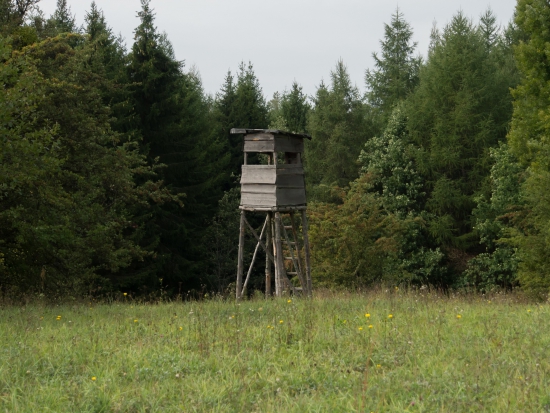 Ilustrační fotografie Pixabay