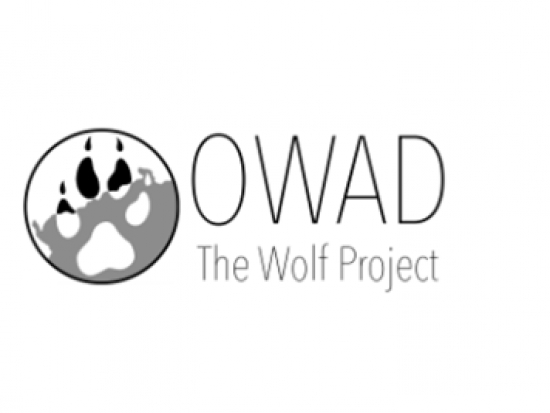 Projekt „Objektivní akceptace vlka v člověkem pozměněné přeshraniční krajině“