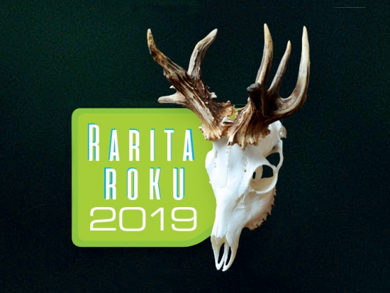 Začíná Rarita roku 2019 – XIII. ročník soutěže o nejzajímavější srnčí trofej