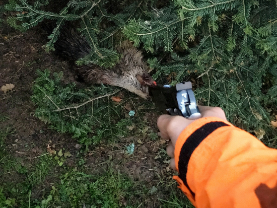 Dostřelná rána z krátké zbraně v praxi – nová legislativa od 1. 1. 2026