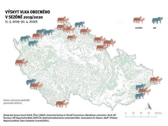 V České republice meziročně přibylo vlčích teritorií