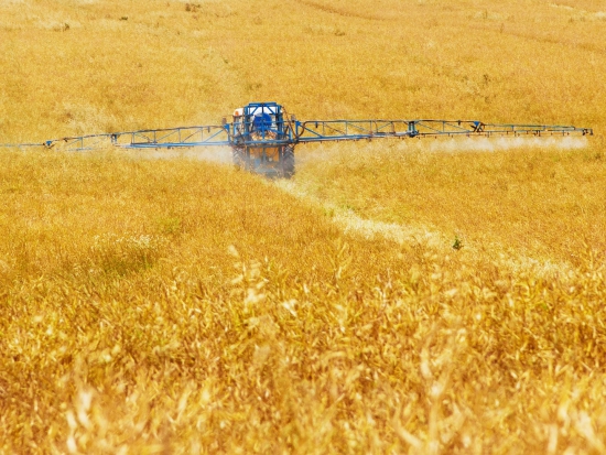 Ilustrační fotografie Pixabay